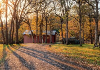 View from Front Deck